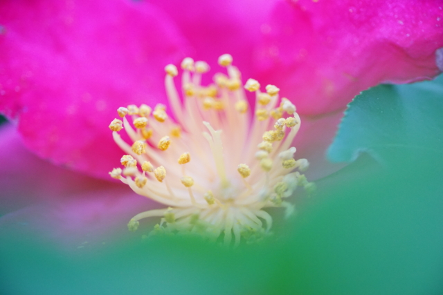 f:id:itokoichi:20140220090731j:image