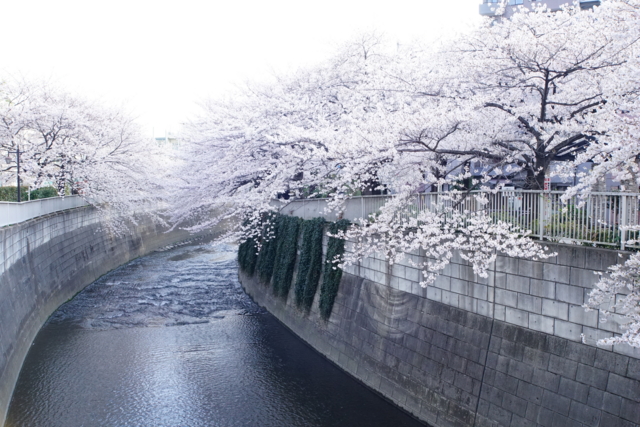 f:id:itokoichi:20140401074933j:image f:id:itokoichi:20140401074933j:image