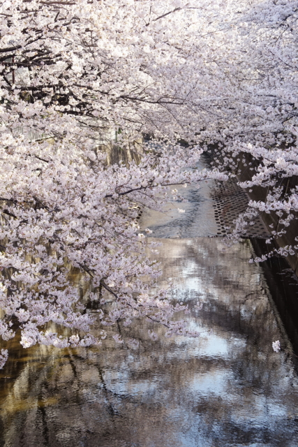 f:id:itokoichi:20140401080113j:image f:id:itokoichi:20140401080113j:image