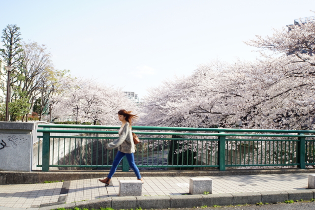 f:id:itokoichi:20140401082409j:image f:id:itokoichi:20140401082409j:image