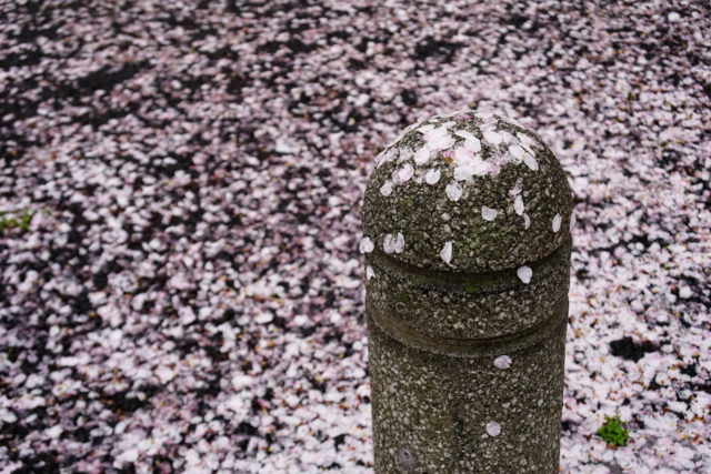f:id:itokoichi:20140404080803j:image