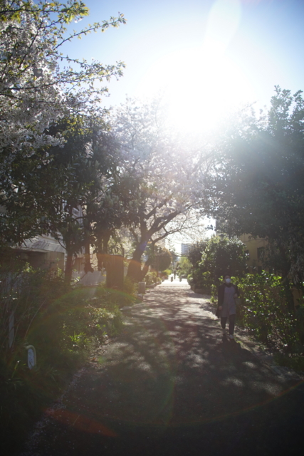 f:id:itokoichi:20140405075918j:image f:id:itokoichi:20140405075918j:image