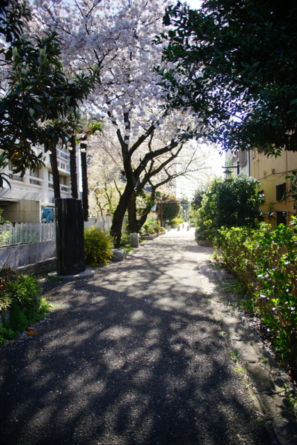 f:id:itokoichi:20140405075945j:image f:id:itokoichi:20140405075945j:image