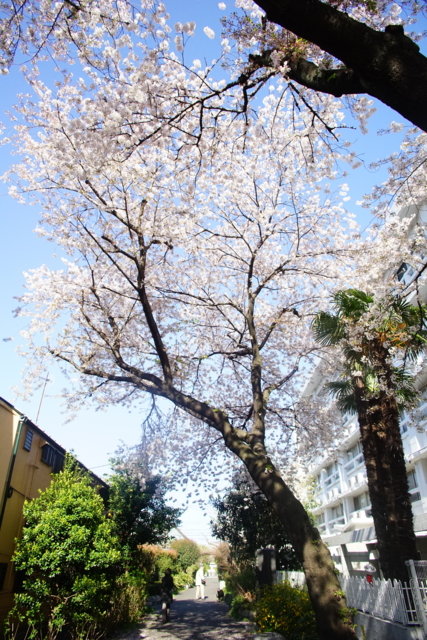 f:id:itokoichi:20140405080615j:image f:id:itokoichi:20140405080615j:image