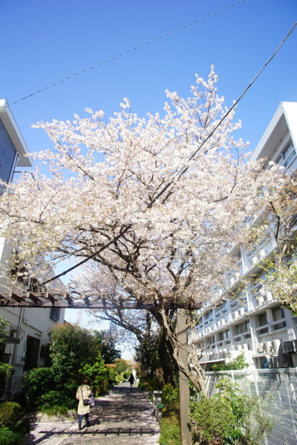 f:id:itokoichi:20140405080704j:image f:id:itokoichi:20140405080704j:image