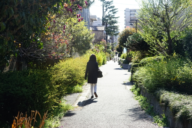 f:id:itokoichi:20140405080742j:image f:id:itokoichi:20140405080742j:image