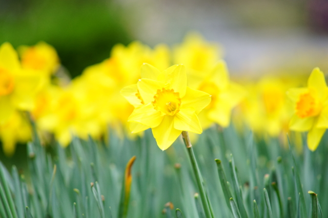 f:id:itokoichi:20140405102554j:image