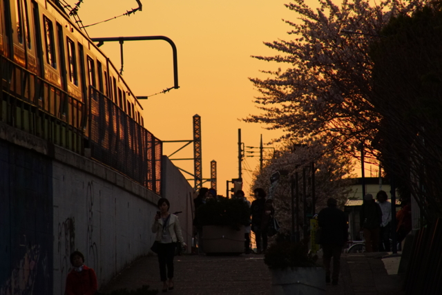 f:id:itokoichi:20140405175017j:image