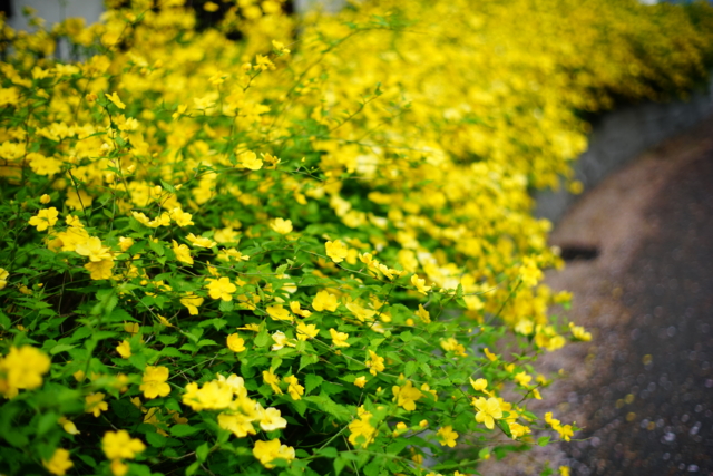 f:id:itokoichi:20140414083010j:image