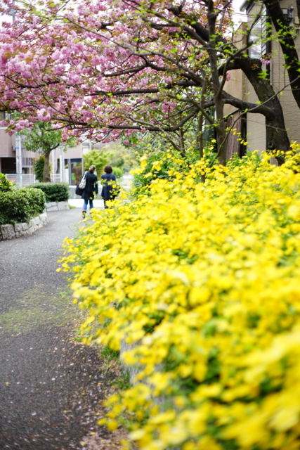 f:id:itokoichi:20140414083255j:image