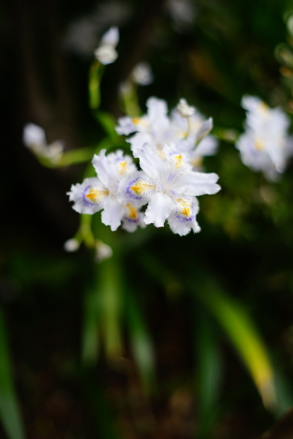 f:id:itokoichi:20140414084134j:image