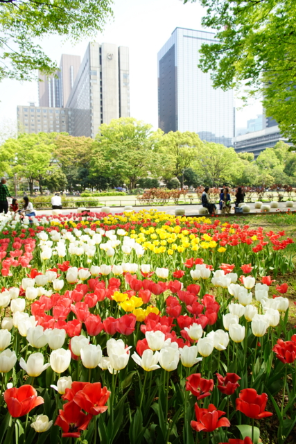 f:id:itokoichi:20140417130315j:image