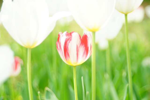 f:id:itokoichi:20140417131457j:image