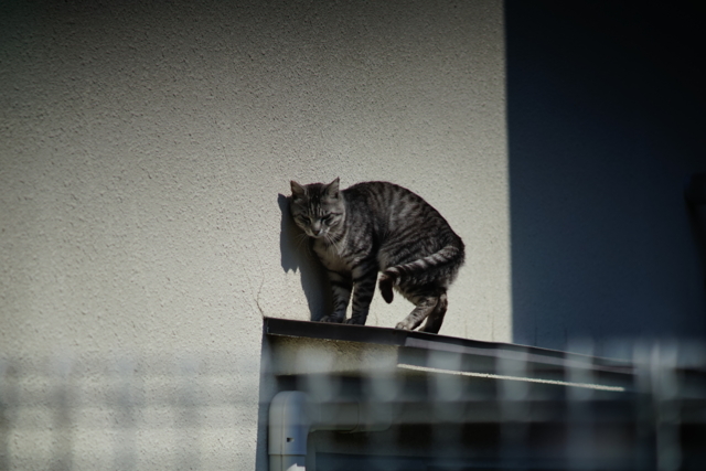 f:id:itokoichi:20140423083231j:image