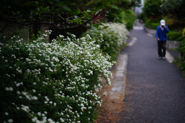 f:id:itokoichi:20140429164657j:image