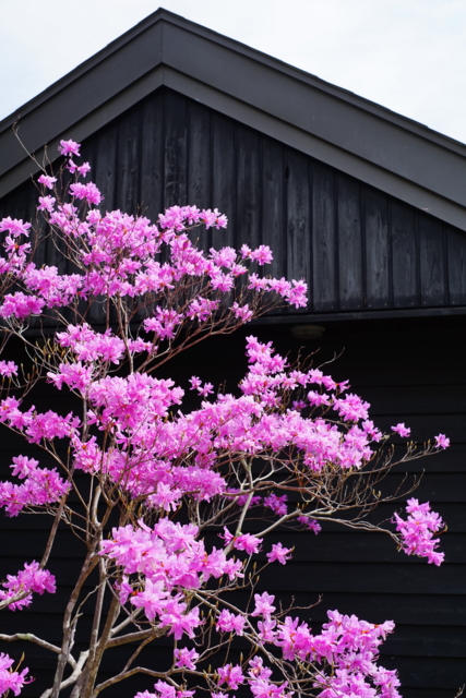 f:id:itokoichi:20140506092329j:image