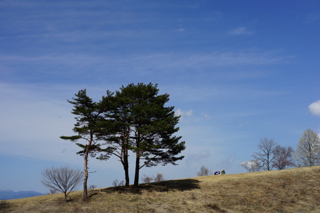 f:id:itokoichi:20140506141344j:image