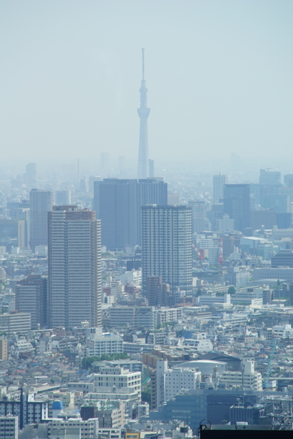 f:id:itokoichi:20140510110953j:image