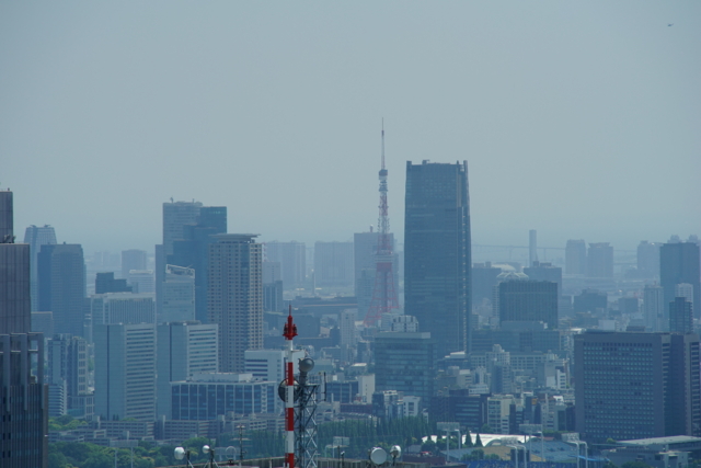 f:id:itokoichi:20140510113442j:image