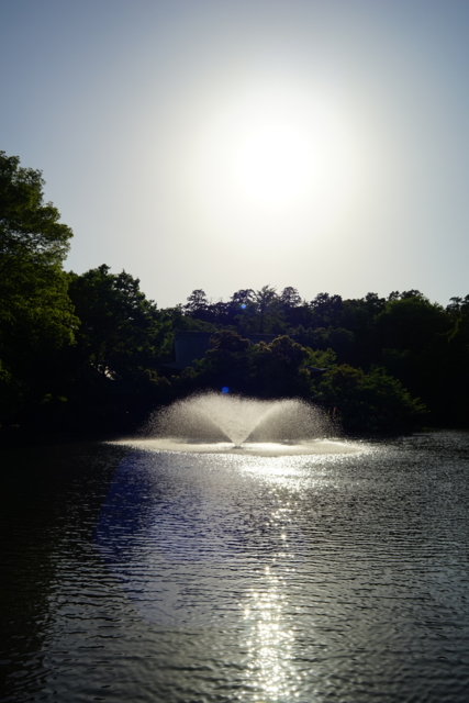 f:id:itokoichi:20140510162603j:image
