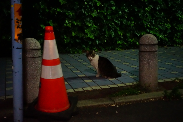 f:id:itokoichi:20140516235824j:image