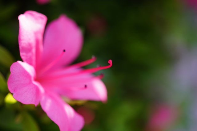 f:id:itokoichi:20140517171056j:image
