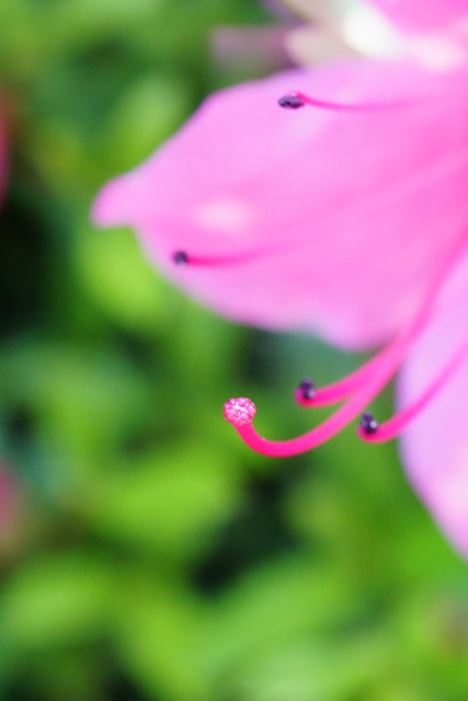 f:id:itokoichi:20140517171750j:image