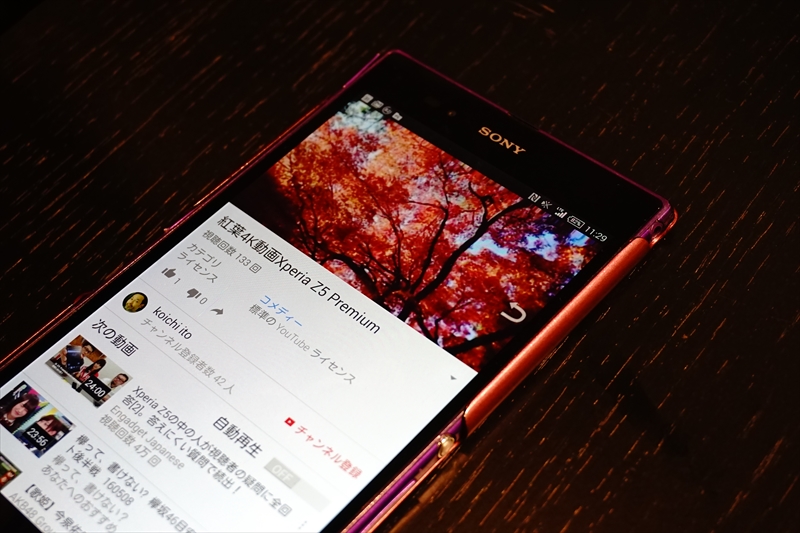 f:id:itokoichi:20160513112835j:image f:id:itokoichi:20160513112835j:image