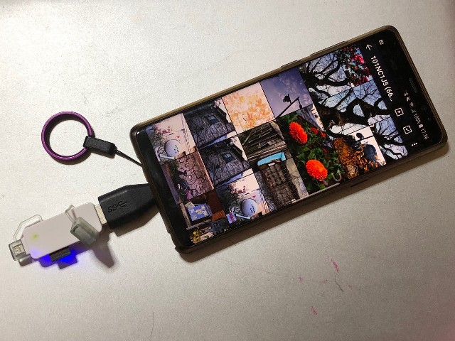 f:id:itokoichi:20190101184241j:image
