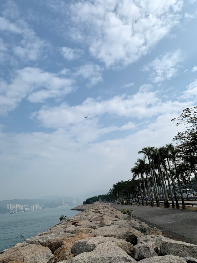 f:id:itokoichi:20190129135148j:plain f:id:itokoichi:20190129135148j:plain