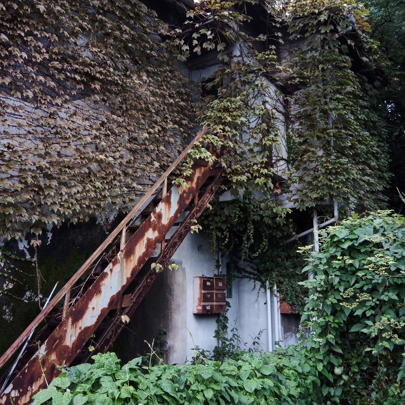 f:id:itokoichi:20210905105153j:plain