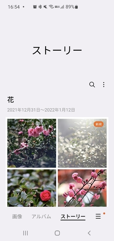 f:id:itokoichi:20220126165511j:plain