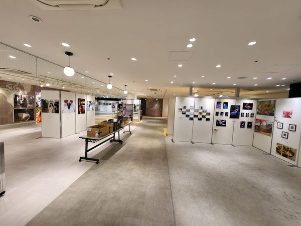 f:id:itokoichi:20220413161135j:plain