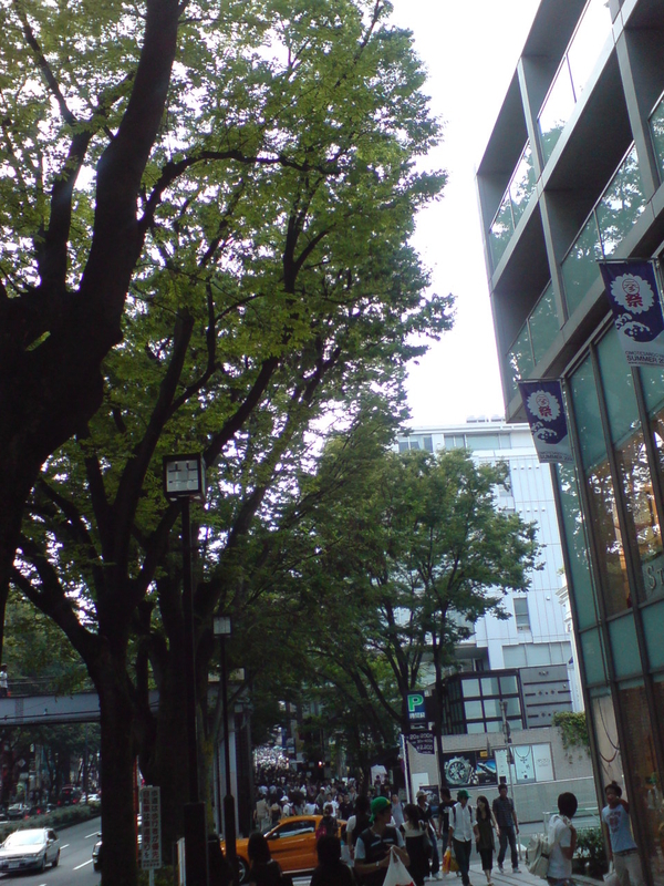 イメージ 2