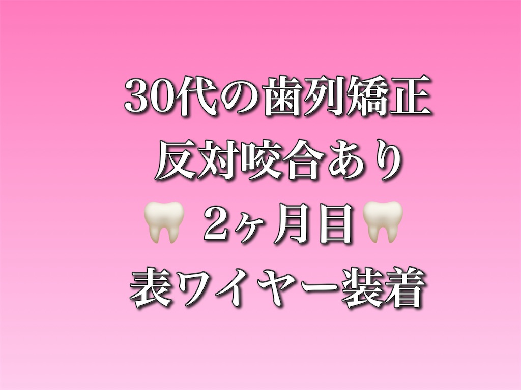 f:id:itosan90:20240527224629j:image