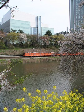 桜と菜の花と中央線の201系