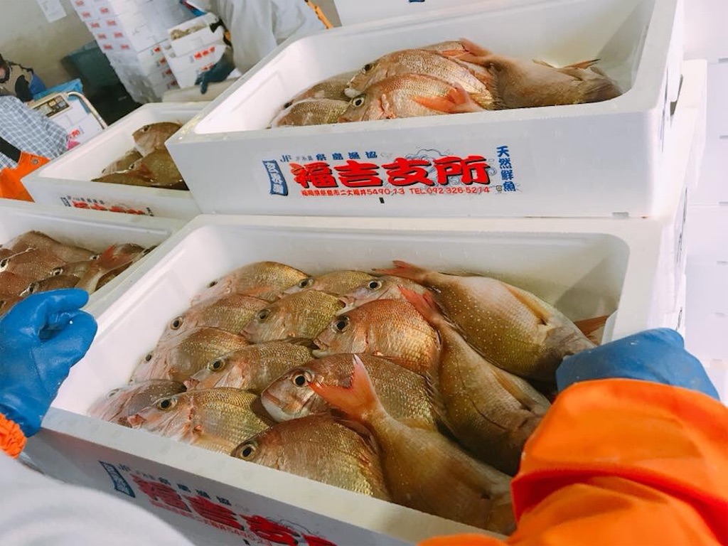 f:id:itoshima55:20180602010811j:image f:id:itoshima55:20180602010811j:image