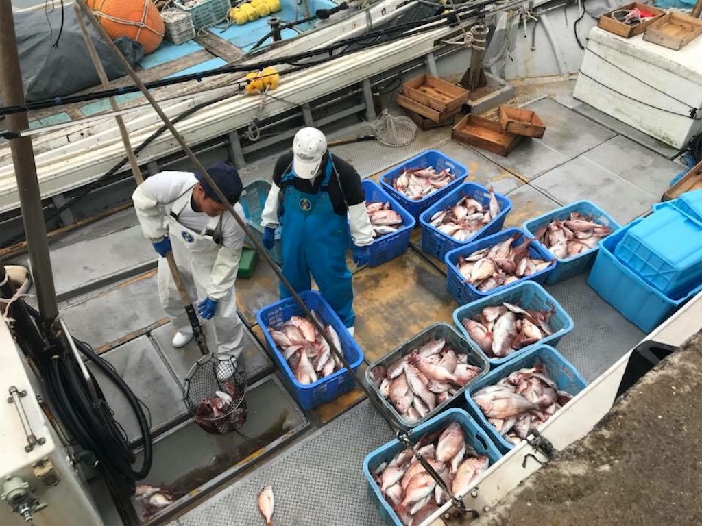 f:id:itoshima55:20180602010845j:image f:id:itoshima55:20180602010845j:image