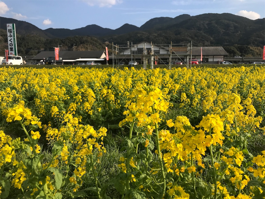 f:id:itoshima55:20180605210713j:image f:id:itoshima55:20180605210713j:image