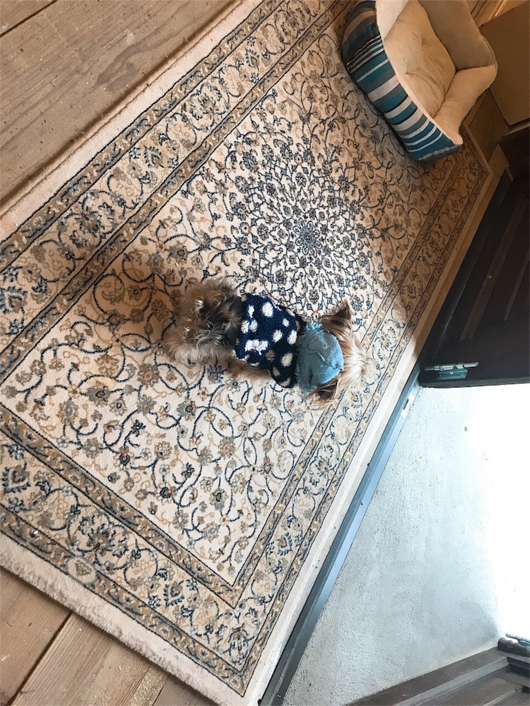 f:id:itoshima55:20190120215245j:image f:id:itoshima55:20190120215245j:image