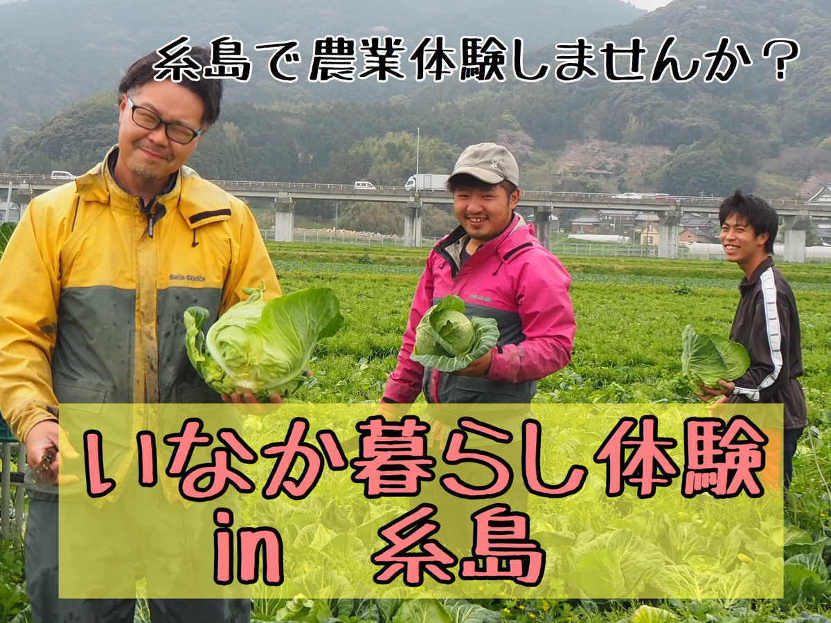 糸島は島じゃない 交通アクセス抜群 福岡空港から電車一本で行ける半島の一部だよ 糸島は島じゃない 来て来て福吉 糸島市地域おこし協力隊