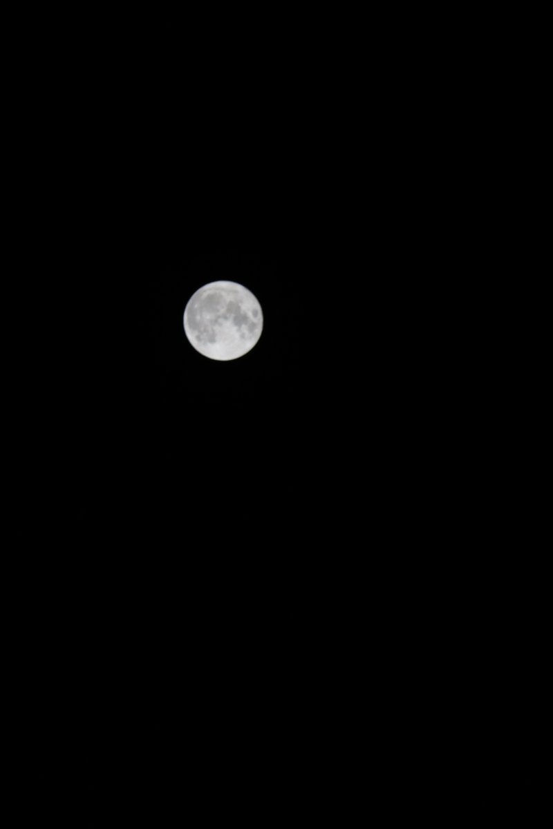 f:id:itotetsu241046:20200903232222j:plain