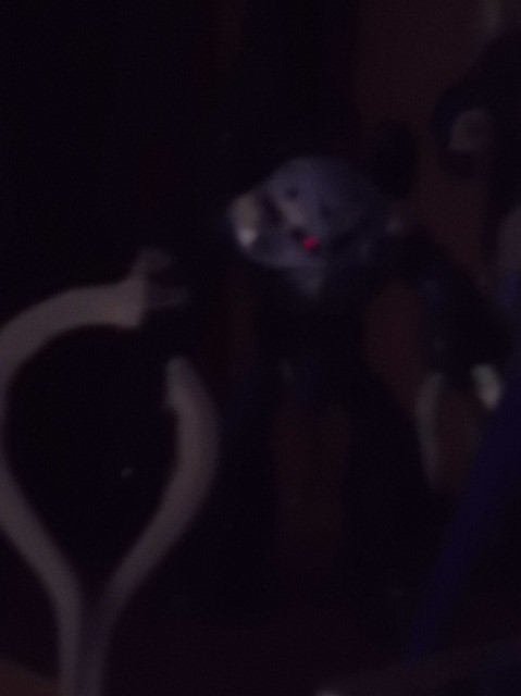 f:id:itotetsu241046:20210128222837j:plain