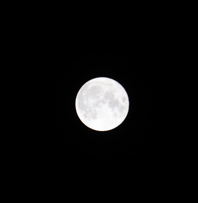 f:id:itotetsu241046:20210228235212j:plain