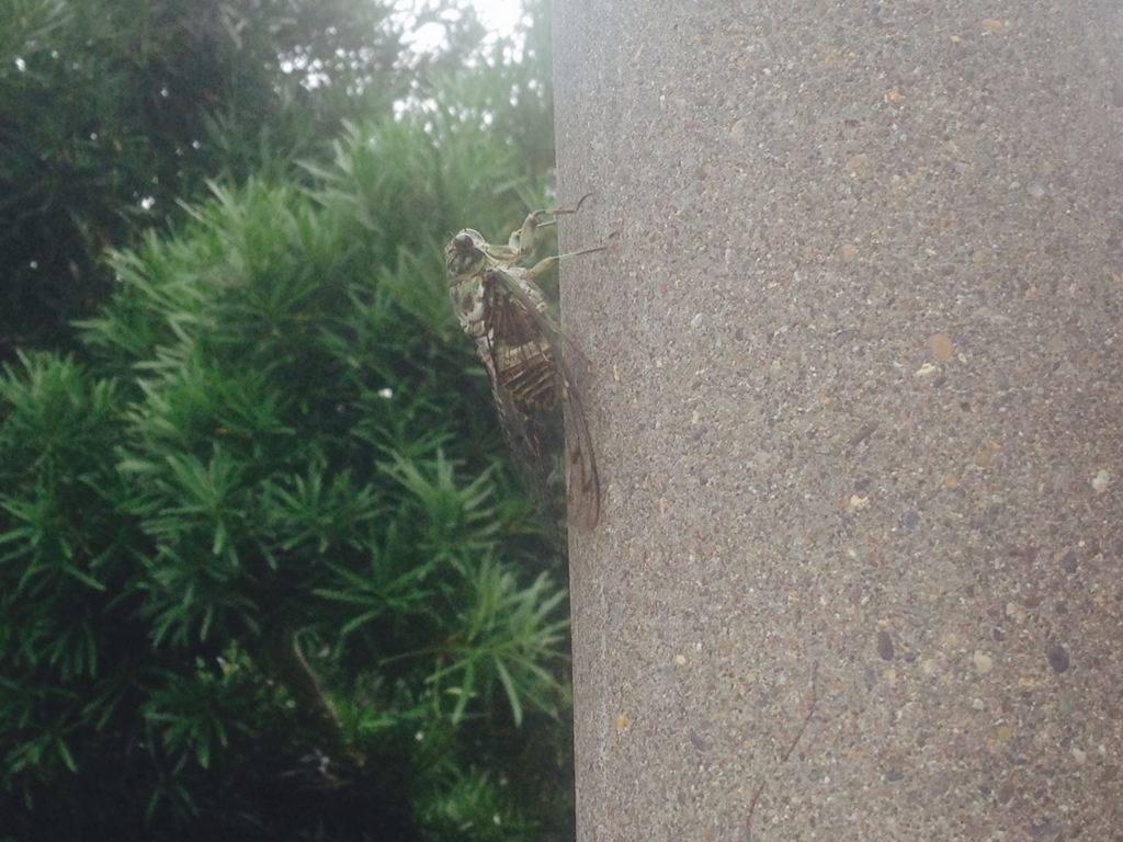 f:id:itotl:20170802125427j:plain f:id:itotl:20170802125427j:plain