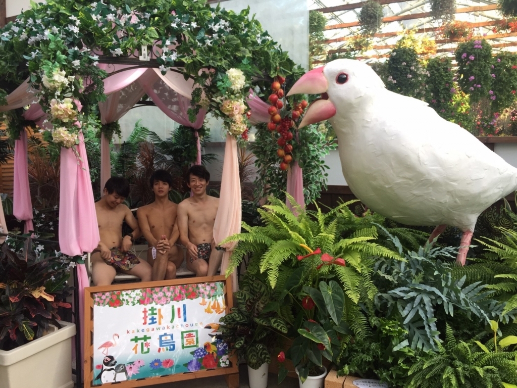 f:id:itotl:20171016223314j:plain f:id:itotl:20171016223314j:plain