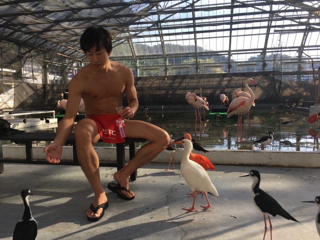 f:id:itotl:20171016223345j:plain f:id:itotl:20171016223345j:plain