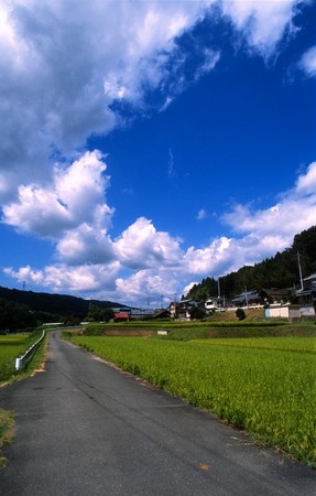 f:id:itotto:20070628233542j:image