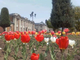 f:id:itotto:20090502125212j:image