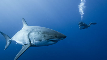 f:id:itotto:20100214005434j:image f:id:itotto:20100214005434j:image